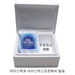 참손푸드 이츠웰 CJ 이츠웰 탱글탱글 새우까스 600g 아이스박스 아이스팩