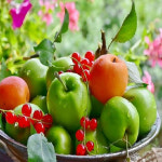 아이윙스 피포페인팅 부자가되는 사과 DIY명화그리기 DIY그림그리기 Q4340