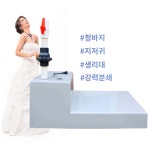 화장실펌프 2HP 12M 50A 220V 자동 정화조펌프