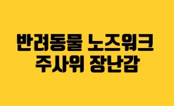 반려동물 노즈워크 주사위 장난감