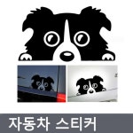 프리티 도그 스티커 포인트스티커 인테리어 소품 자동차스티커 포인트스티커 자동차소퓸