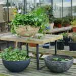 수련 모조돌 플라스틱 화분 연꽃 수반 어항 부레옥잠