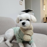 부분이발기 PC-B008