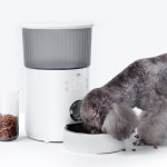 오아 이리와 펫 자동급식기 OFE-001WH