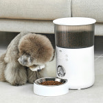 오아 이리와 펫 자동급식기 OFE-001WH