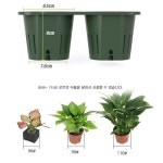 버티컬가든 수직화단용 플라스틱2구 저면관수화분 녹색