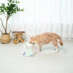 펫트리움 아크릴 펫테이블 2구 애견식기 투명식기