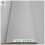 LG지인_Silk 테라피 안개 7103-01