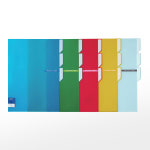 알파 알파 알파 섹션홀더 3분류 비비드컬러칩 A4 색상선택