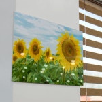 아트박스 꾸밈 pc786-폼아크릴액자78CmX56Cm 돈들어오는해바라기