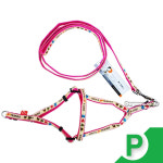 펫츠 강아지줄 목줄 애견줄 가슴줄 산책줄 개줄