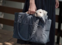 하울팟 데이백 미드나잇스카이