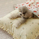 아망떼 아망떼펫 체리체리 순면 프릴 애견방석