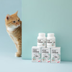 리브펫 강아지 고양이 스킨앤코트 60g