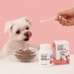 리브펫 조인트 강아지 고양이 관절 슬개골 영양제 60g