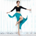 클래스 2 레이어 비대칭 밸리 댄스 퓨전 Overskirt 조정 가능한 탄성 허리 밴드 Bellydance 치마 훈련