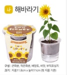 식물키우기 세트 집에서할수있는취미 5종