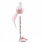 펀칭 스프링 고양이 스낵볼