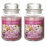 르미에 르미에 630g 기본형 라지자 캔들 로즈마리2개