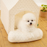 페스텝 페스텝 펫라이프 강아지집 애견하우스