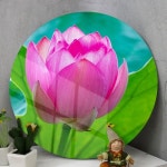 꾸밈 tm742-원형아크릴액자 복이들어오는연꽃01