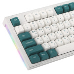 COX COX 기계식 키보드 CK01 TKL PBT SL 텐키리스 화이트