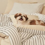 깃든 알러지케어 나란히 사계절 차렵이불 SS