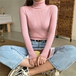 여성 가을 골지 캐시미어 폴라 목 티셔츠 7557158