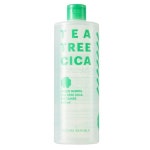 네이처리퍼블릭 그린더마 티트리 시카 빅 토너 500ml