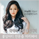 가발닷컴 붙임머리 헤어피스 부분가발 투톤브라운 6 롱발롱펌 1개