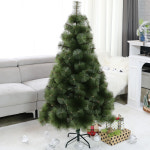 크리스마스 무장식 트리 프리메라 투톤파인트리