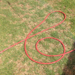 국산 홍일산업 목장 호스 식품용 물 호수 이끼 방지 x 30M