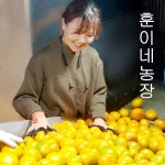훈이네농장 제주 노지감귤 10kg