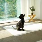 세븐펫 강아지 고양이 미끄럼방지 매트 도톰매트 v2 45x45cm