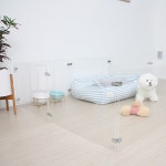 아크리코 아크릴 투명 반려동물 펜스 강아지 울타리 애견펜스 안전울타리