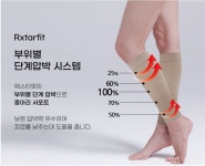 종아리 도고 렉스타핏 압박스타킹 압박밴드 아대 고정압박 간호사