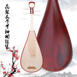 특이한 현악기 전통 비파 성해 맞춤 제작하다 화리목 봉미두비파홍목