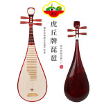 특이한 현악기 전통 비파 성해 호구 비파악기 시험급 전문 연주 초보자가 꽃배나무에