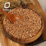 태극인 자연닮음 국산 볶은 메밀차 200g