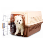 켄넬 강아지 고양이 이동장 애완동물 캐리어 S SIZE