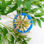 이오난사 화분 만들기 1인세트