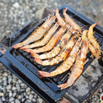 그릴랜드 디바디바 아이언 캠핑 그릴