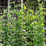 식물 넝쿨 그물 네트 망 지지대 1 DD-11468