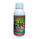 통큰마늘양파 구근 비대제