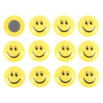 12P 다용도 원형 자석