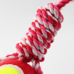 리크플 관공서 실타래 강아지장난감 T10F6806