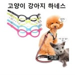 고양이 안경 하네스 강아지 가슴줄 산책 야외