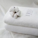 아이리스홈 40수 250g 대형 고중량 코마사 호텔수건 6매세트