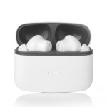 청아 고감도 난청 음향 소리 증폭 무선 블루투스 이어폰 음성증폭기 보청기 대용 TS-22