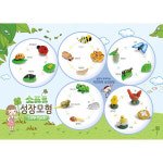 자연관찰 개구리 곤충 성장과정 모형 세트 표본관찰 엄마표과학 피규어 1개